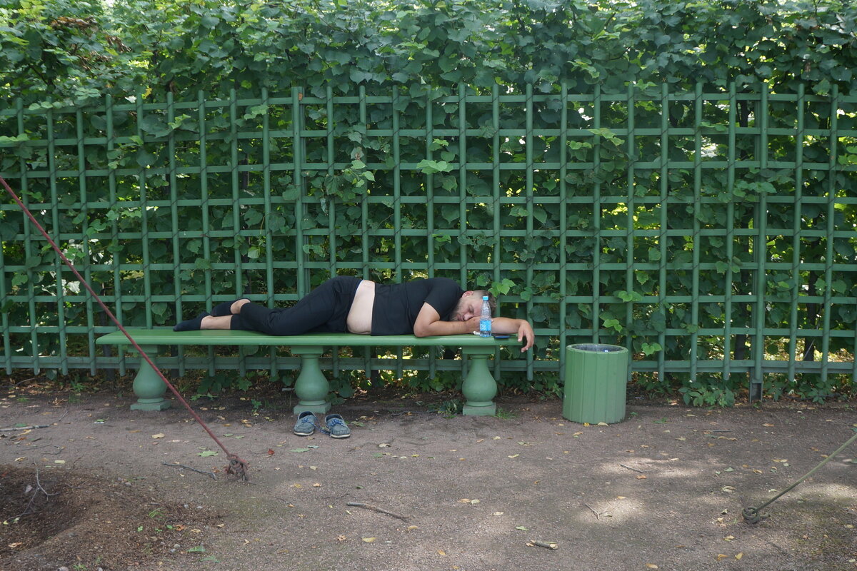 сон на свежем воздухе - zavitok *