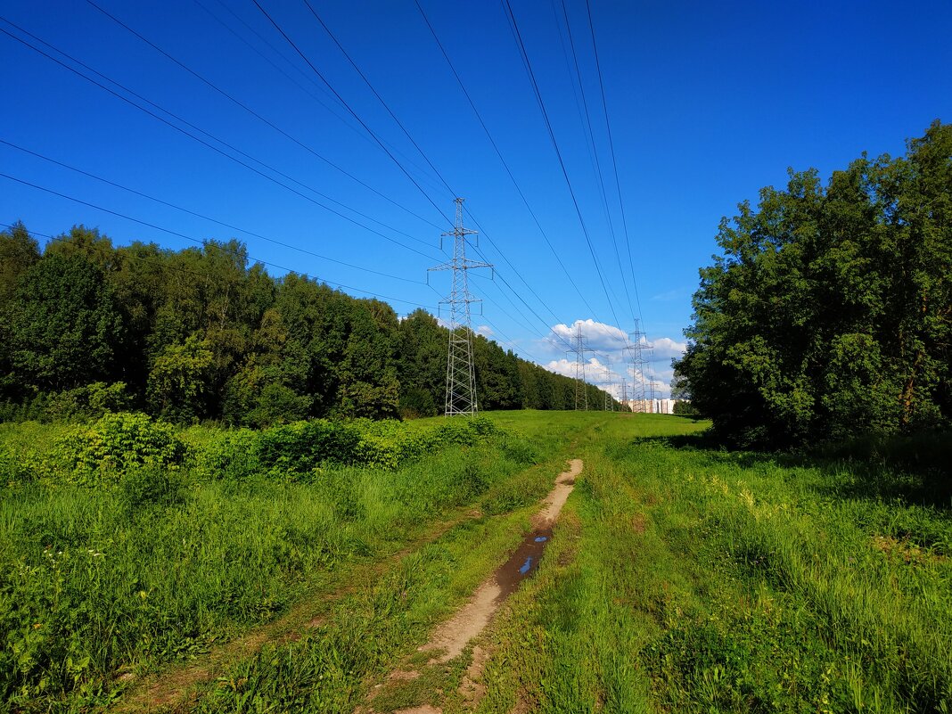 Вот, моя деревня - Андрей Лукьянов