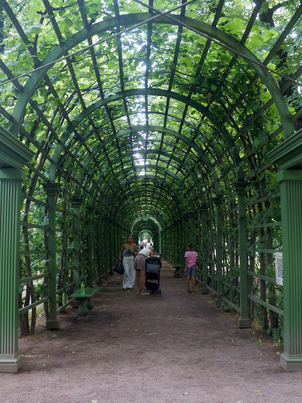 берсо - zavitok *