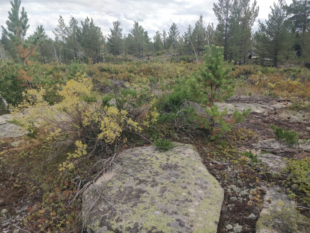 Август в горах Керей - Андрей Хлопонин Август в горах Керей - Андрей Хлопонин