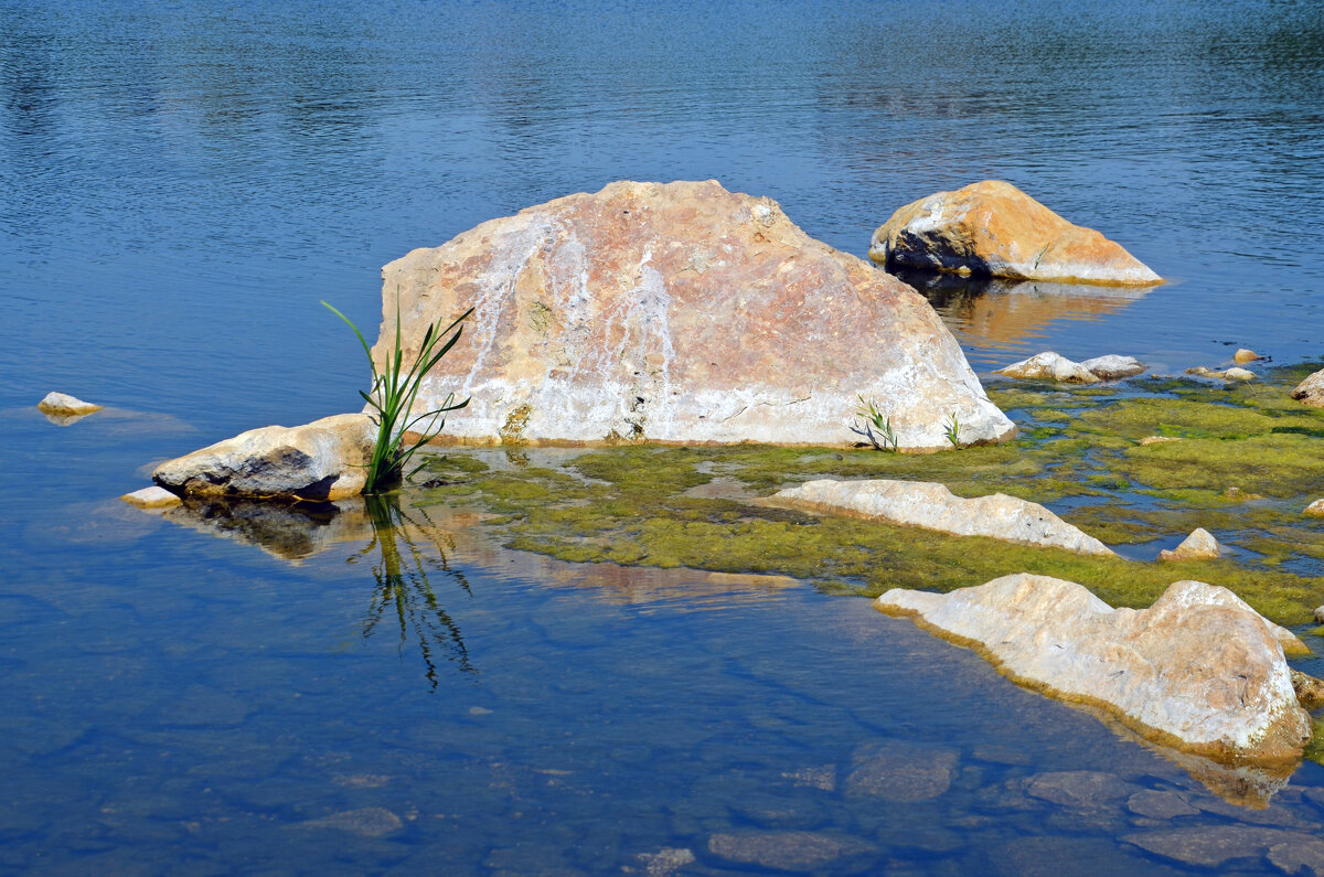 Прибрежные камни - Сергей М 