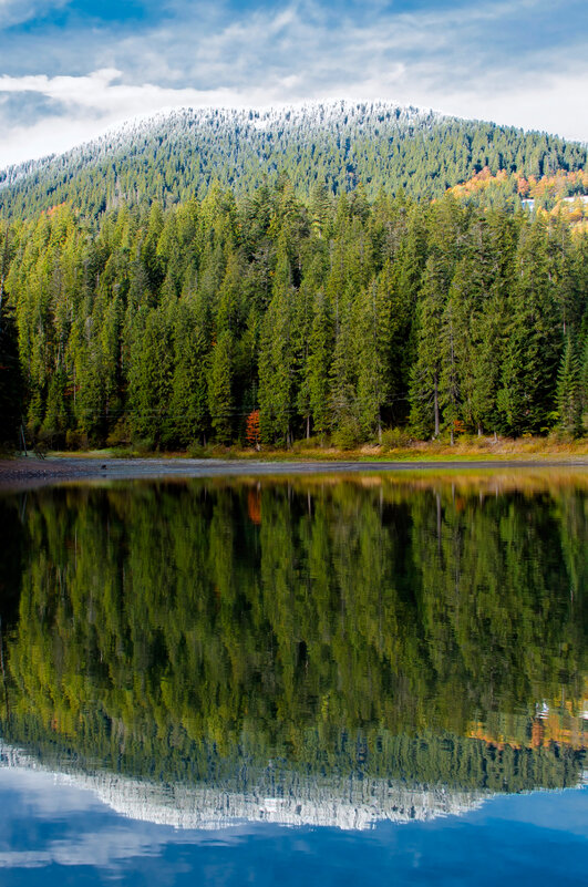 Со всеми временами года - Alexandеr P