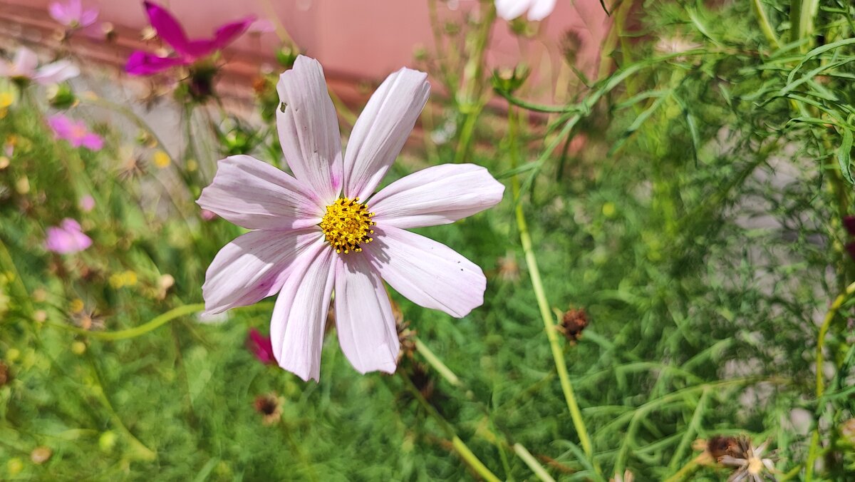 ,,, - Сергей Тимоновский