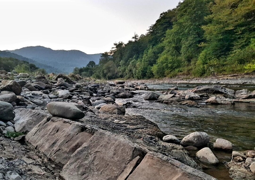 ГОРНАЯ РЕЧКА - Tata Wolf