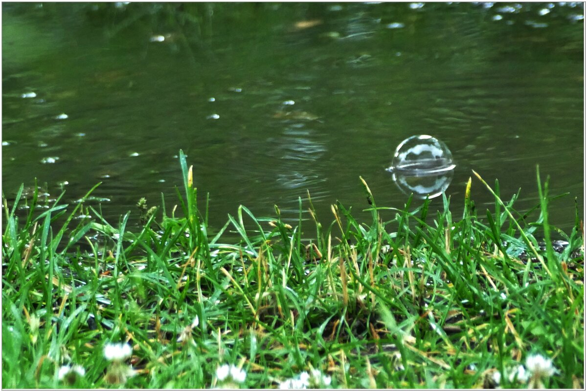 ТАКАЯ ПОГОДА!... - Elvira E. 