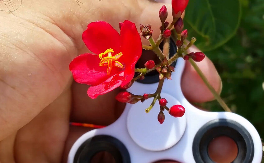 112 (142) - СТРЕН 