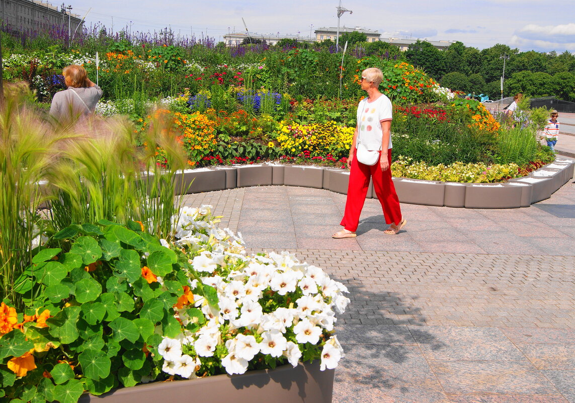 МОСКОВСКАЯ ПЛОЩАДЬ - Виктор Никитенко