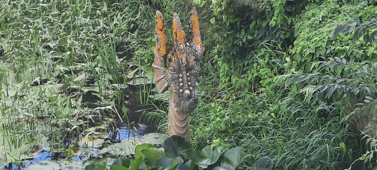 Дракон - Мария Гуськова