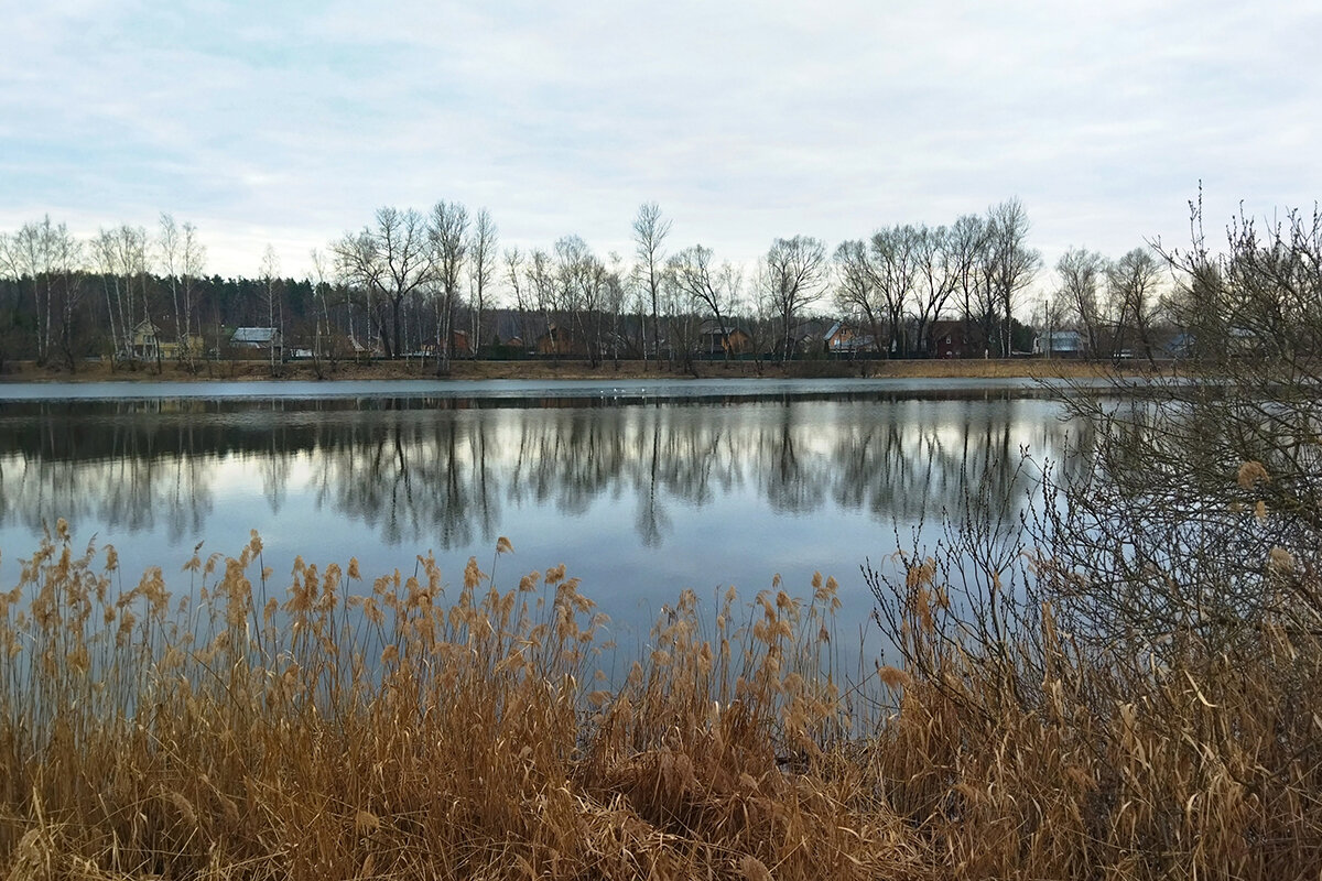 *** - Марина Виноградова