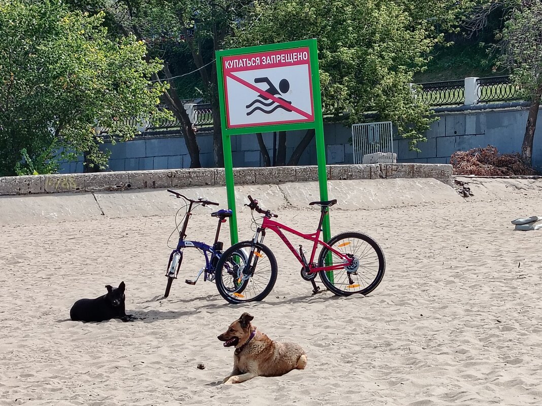 Надёжная охрана! - Надежда Надёжная охрана! - Надежда