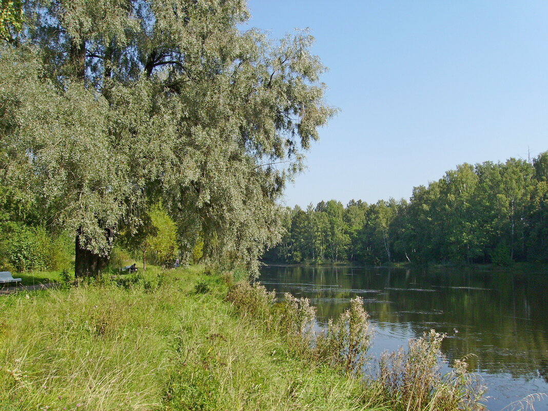 Лето. - VasiLina * Лето. - VasiLina *