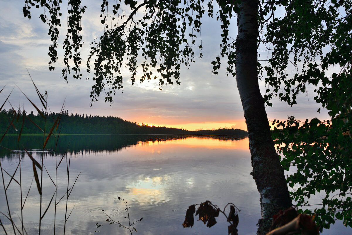 ** - Александр Хаецкий ** - Александр Хаецкий