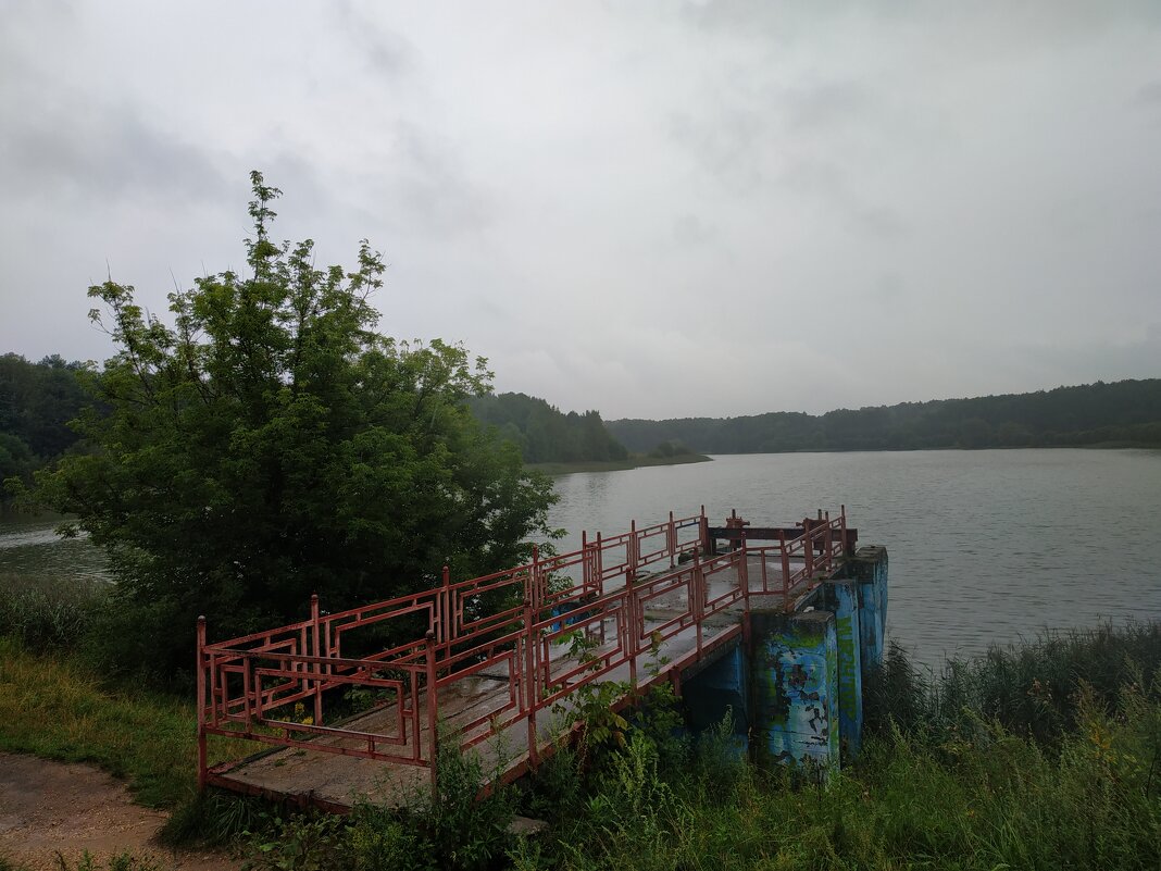 Сегодня - дождь - Андрей Лукьянов Сегодня - дождь - Андрей Лукьянов