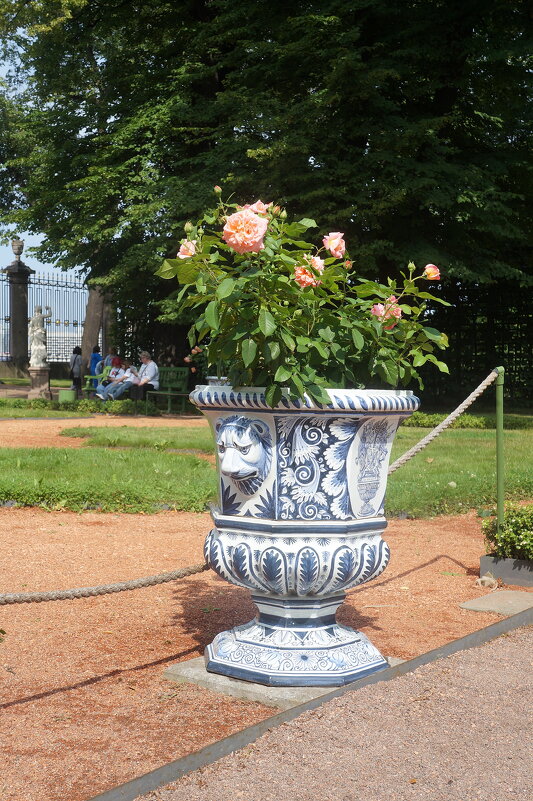 "Я к розам хочу, в тот единственный сад..." - zavitok *