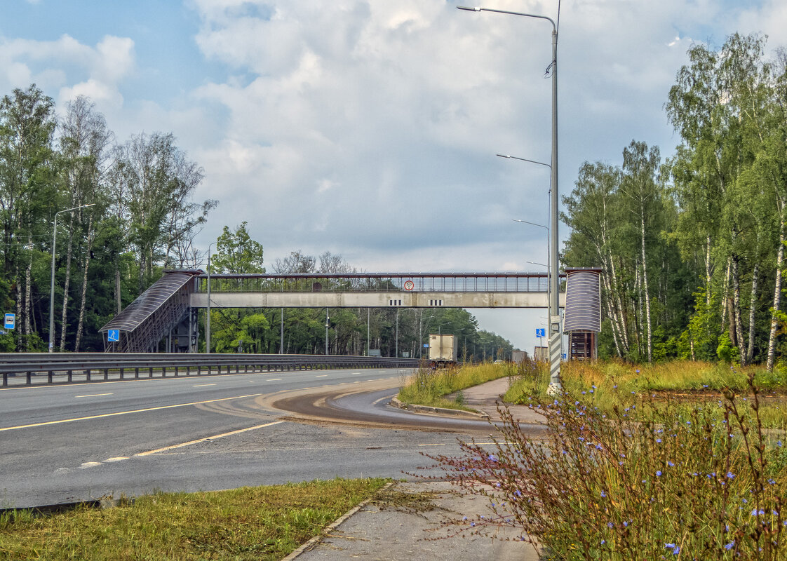 Пешеходный переход - Сергей Цветков