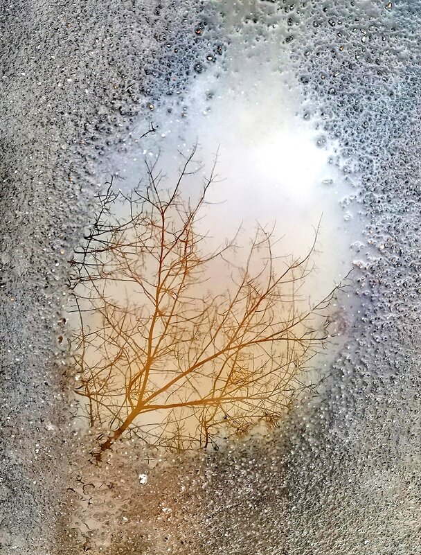 Лужа на асфальте. Отражение. - Любимова Ольга Лужа на асфальте. Отражение. - Любимова Ольга