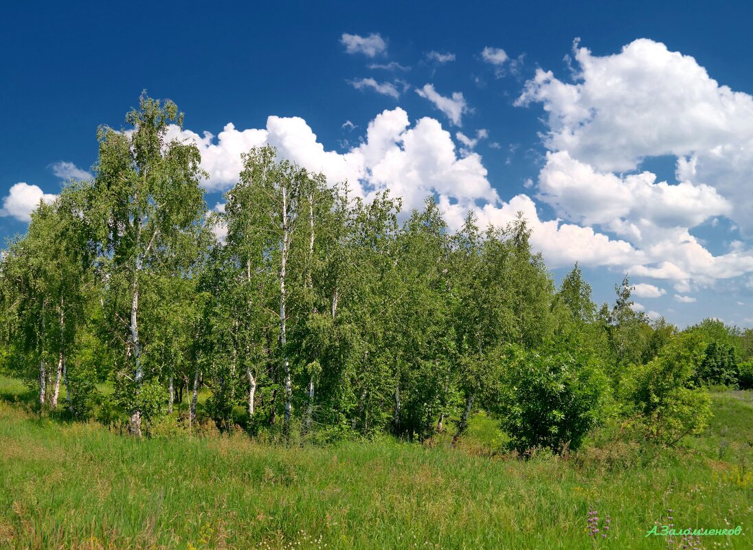 А лета уже осталось мало.... - Андрей Заломленков