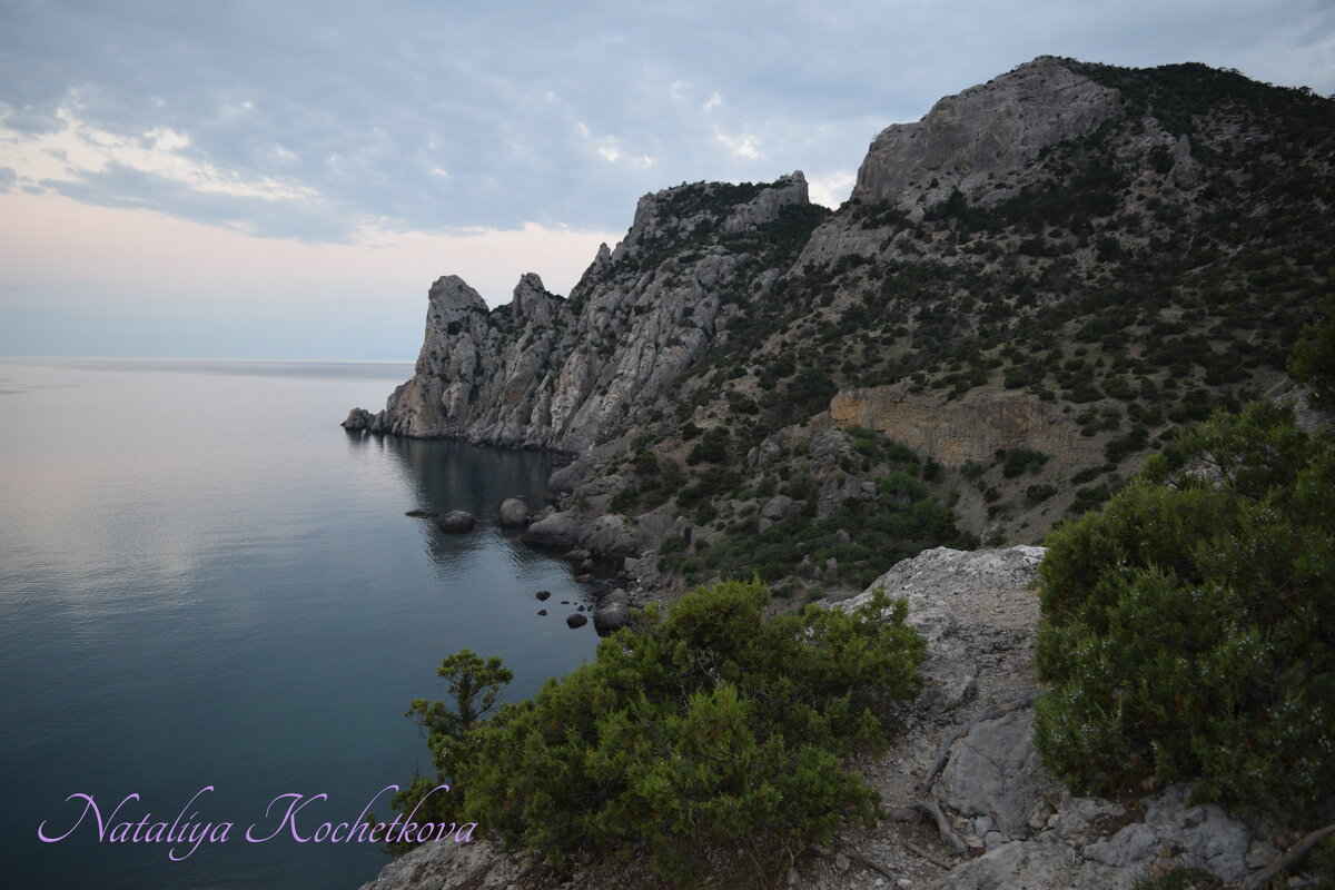 Природа Крыма - Amazing Cosmea