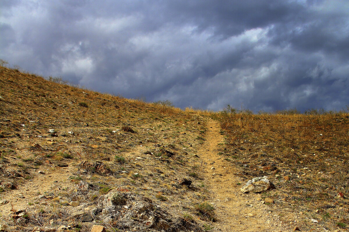 ** - Vlad Сергиевич