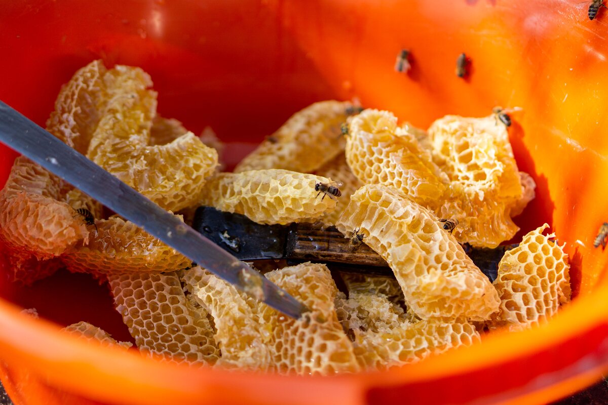 Мед - Дмитрий Ряховский