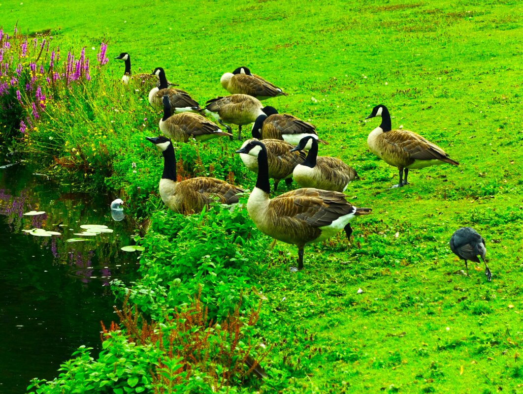 Не пора бы уже поплавать... - Aida10 