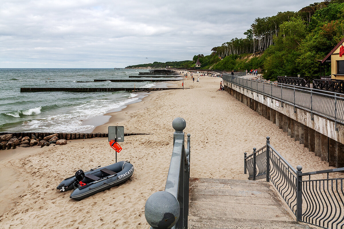 Пионерский - Дмитрий 