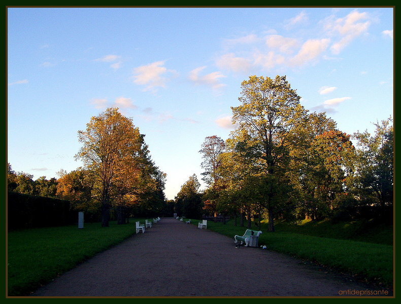 Пушкин...Царское село... - vadim 