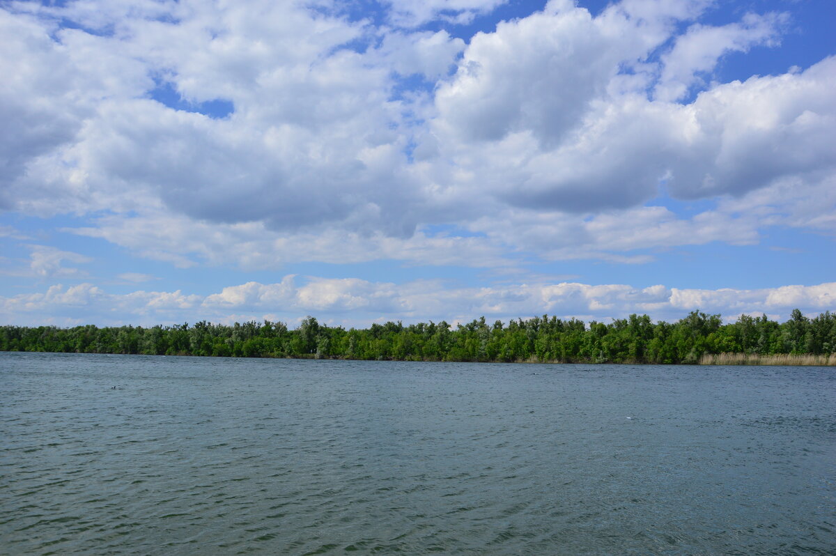У Дона. - Виктор У Дона. - Виктор