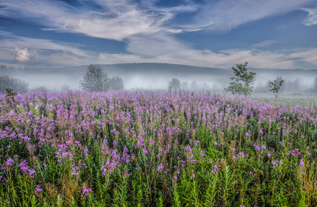 Вечер - александр 