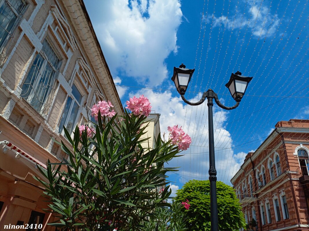 Ростовское лето - Нина Бутко