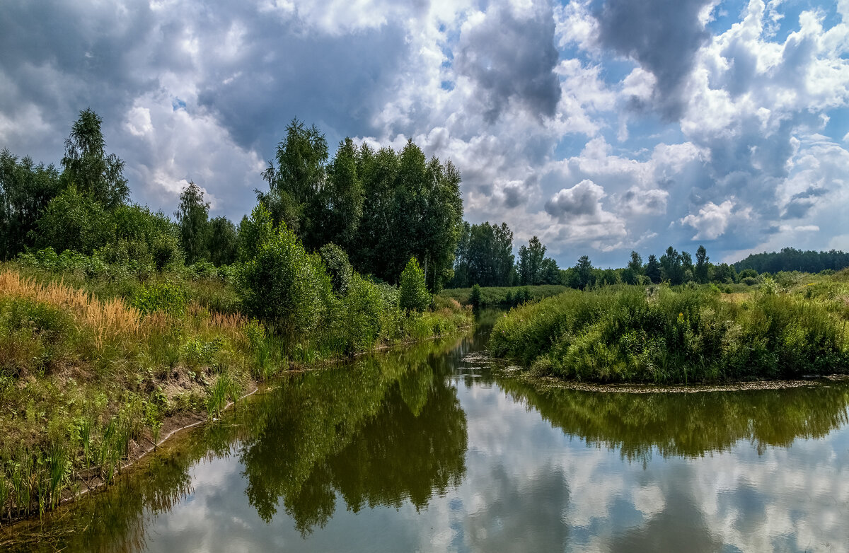 Утро третьего августа - Андрей Дворников