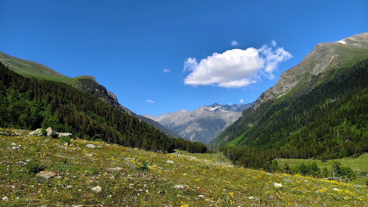 Поляна. - Александр Кондаков