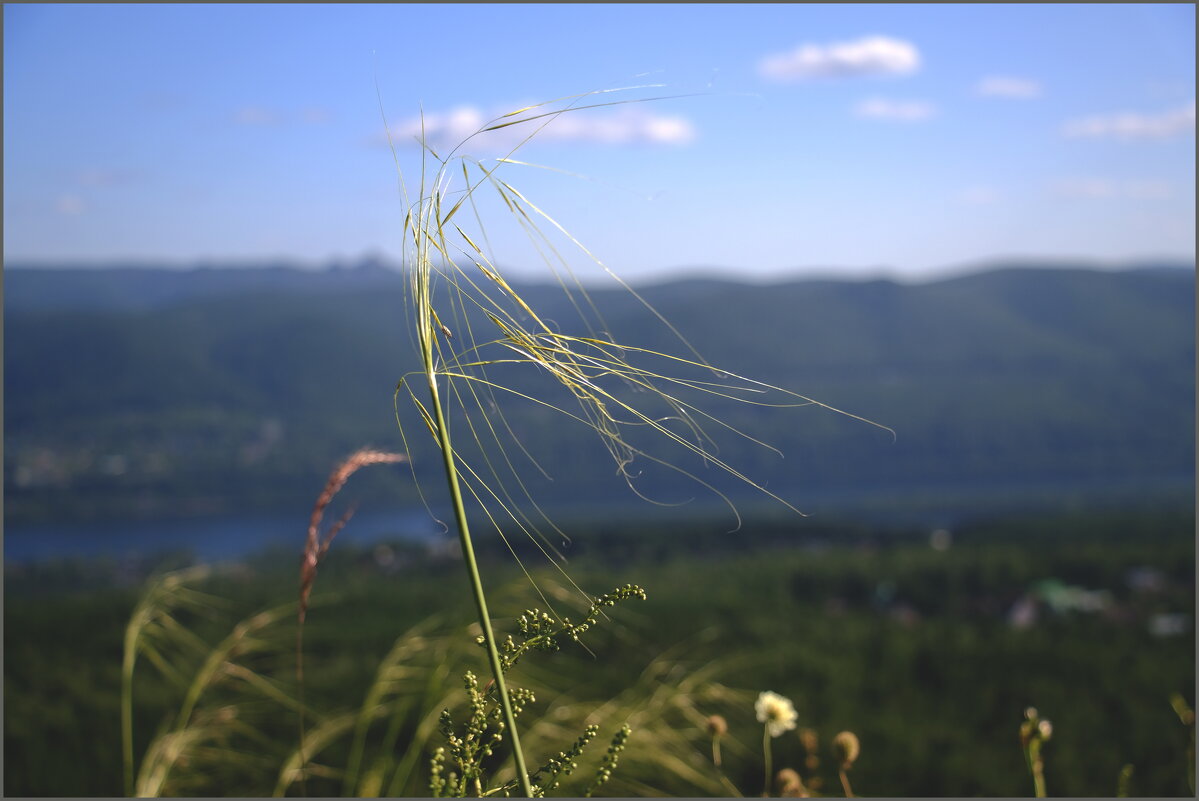 Август - Алексей Хвастунов