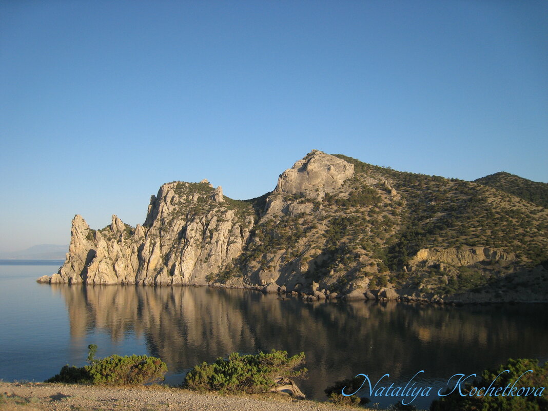 Природа Крыма - Amazing Cosmea