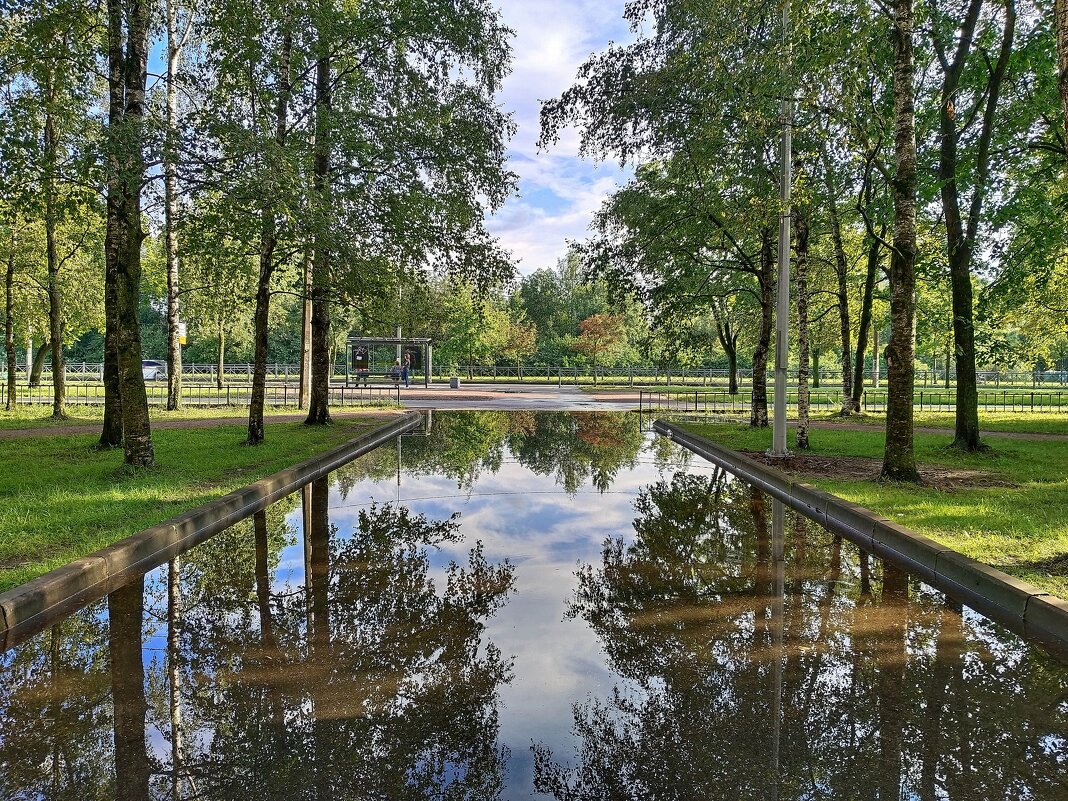 После дождя - Мария Васильева После дождя - Мария Васильева