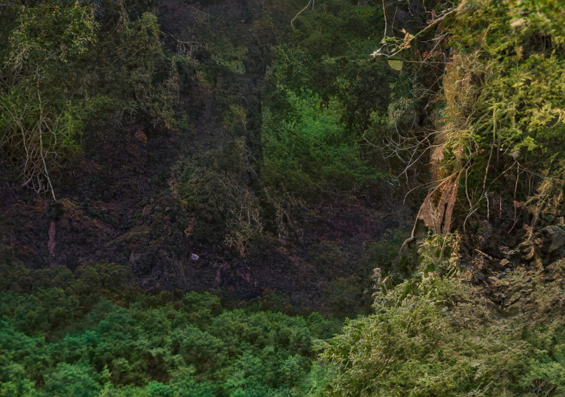 Там леший бродит... - Людмила Фил