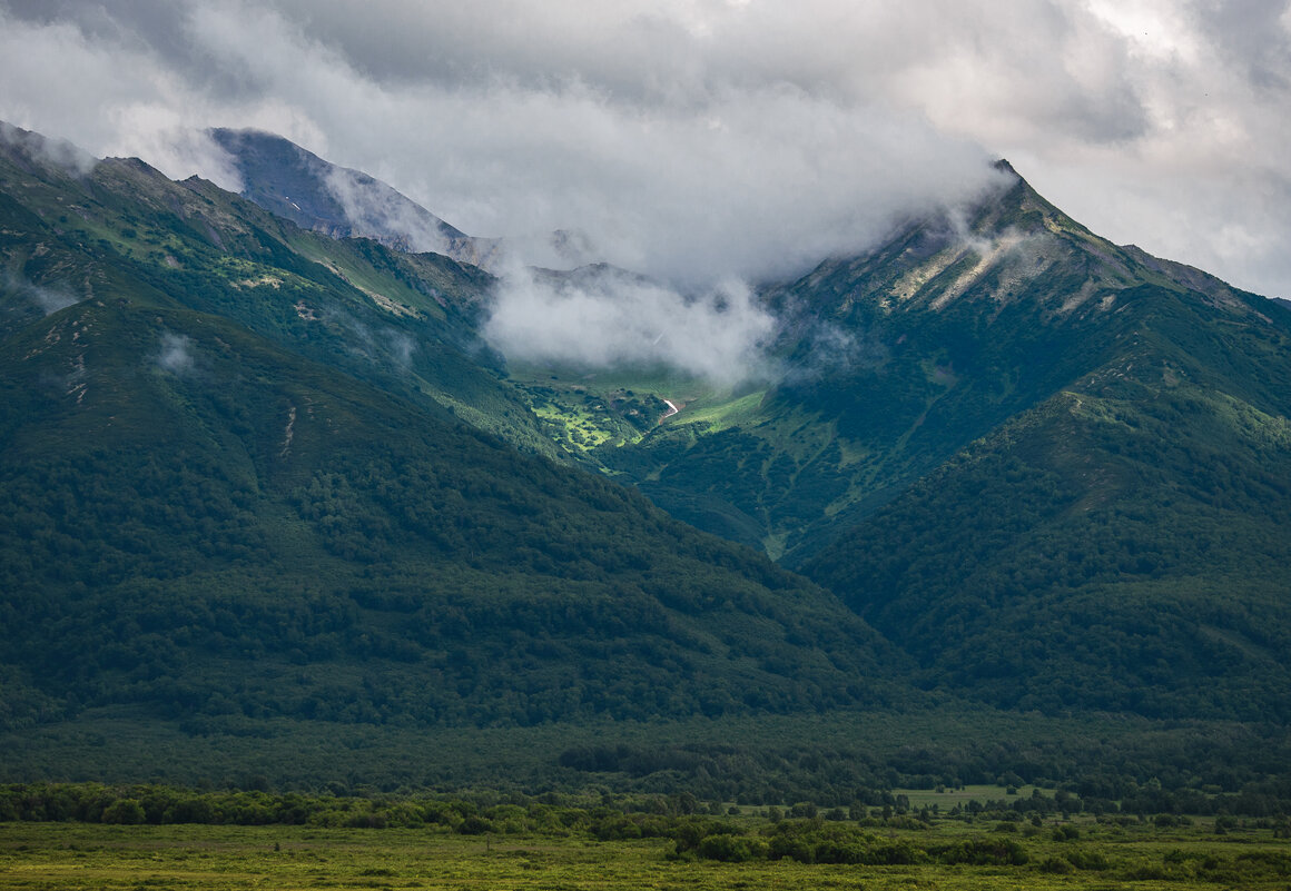 ... - Жора Житников