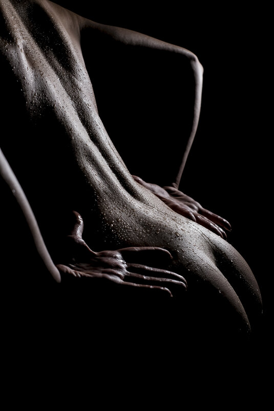 Bodyscape - Oliwe Оливка Bodyscape - Oliwe Оливка