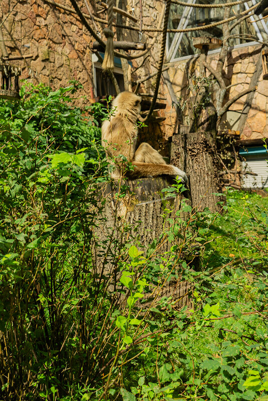 Не дружу я с вами! - Ирина Соловьёва