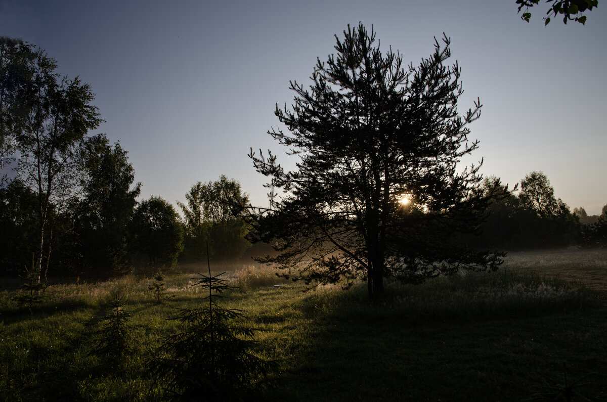 Рассвет - Валерий Пославский Рассвет - Валерий Пославский