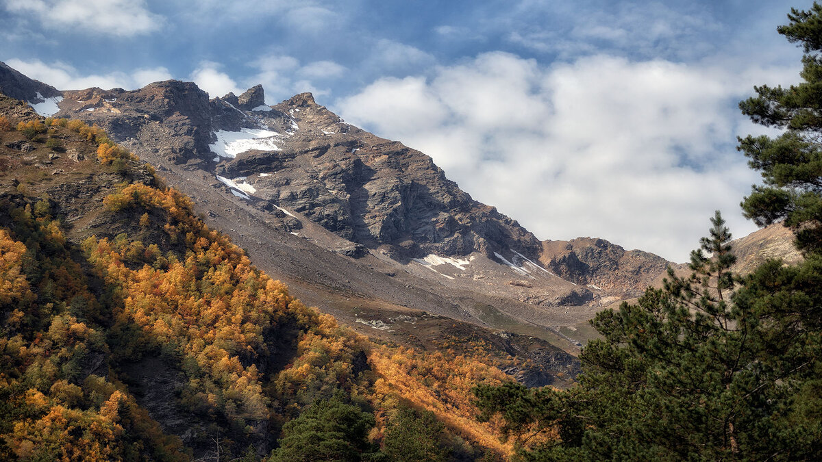 Осень. - olegdanilhenko Олег Данильченко Осень. - olegdanilhenko Олег Данильченко