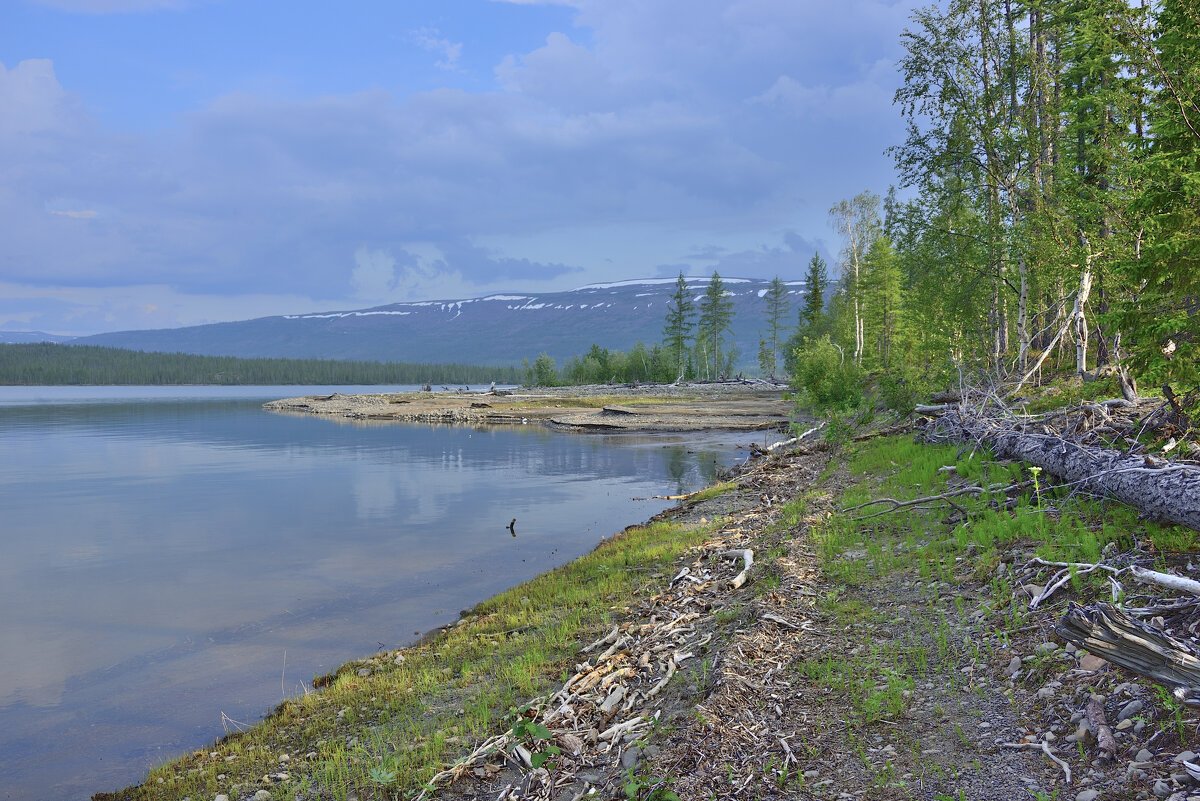 *** - Александр Хаецкий