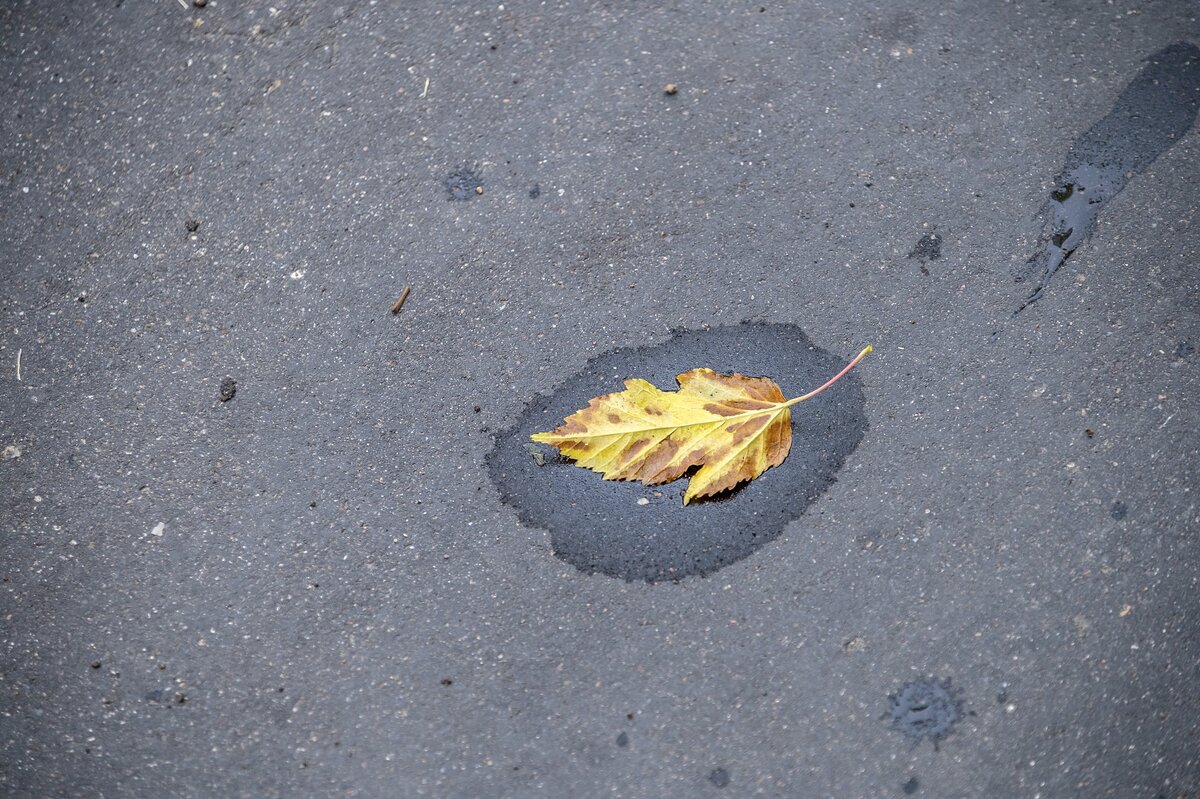 Бродит осень рядом где-то - Валерий Иванович Бродит осень рядом где-то - Валерий Иванович