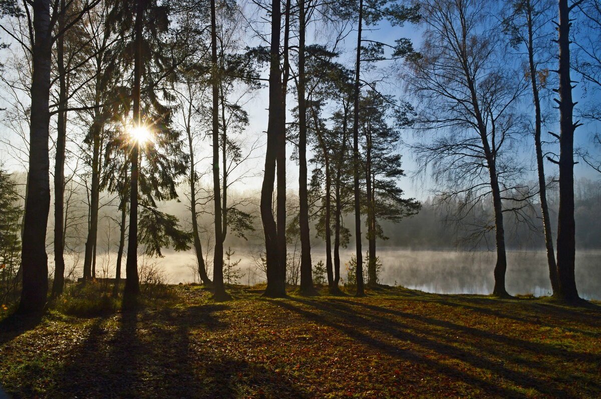 Холодное утро...... - Юрий Цыплятников