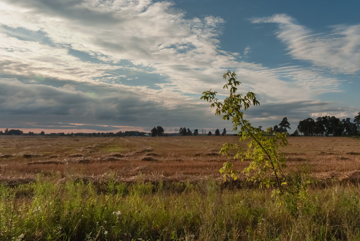 ... - василий 