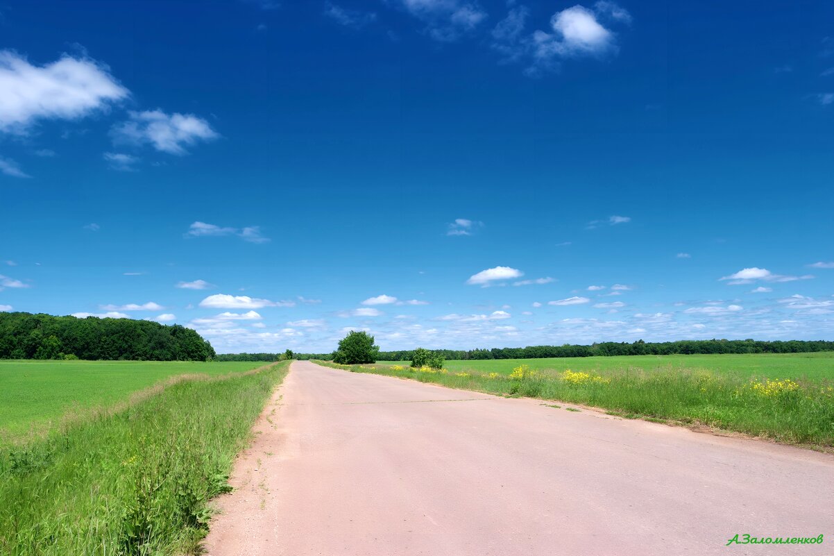 По дорогам уходящего лета... - Андрей Заломленков
