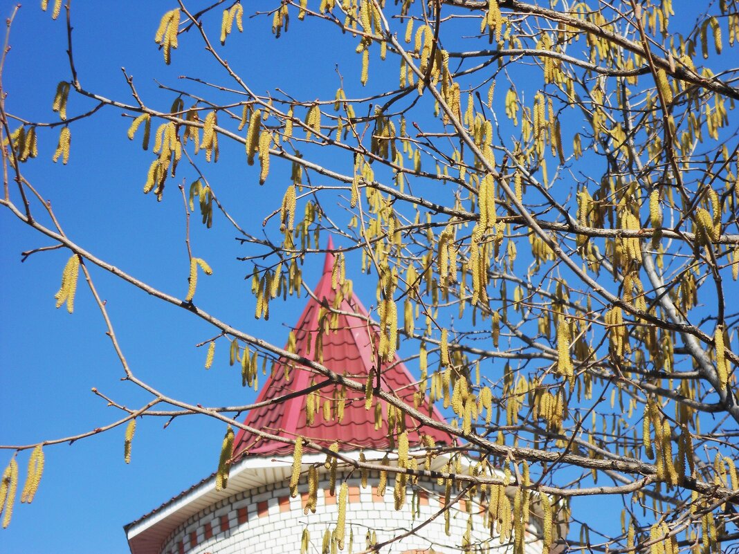 был март - Елена Шаламова