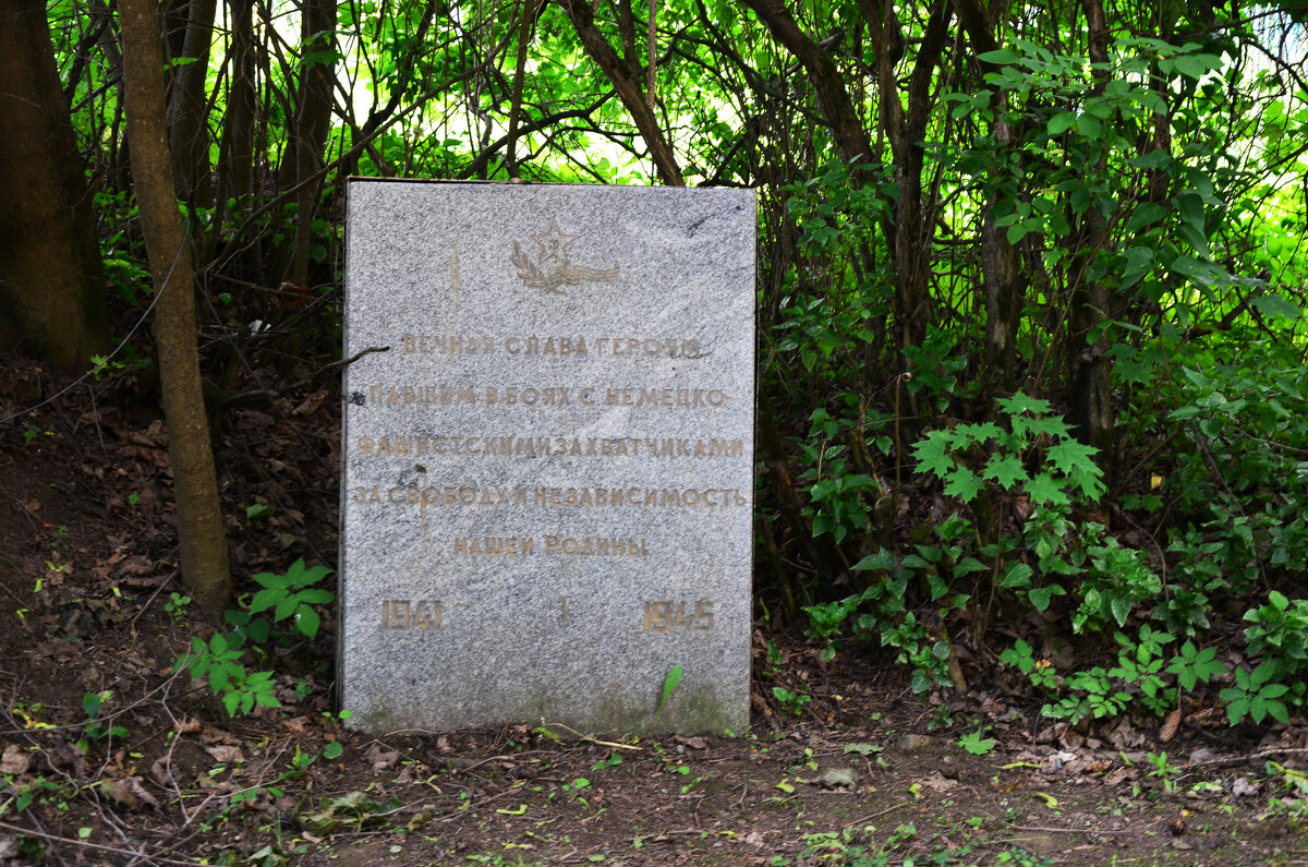 Московская область. Село Новый Быт. Погибшим в 1941-1945гг. - Наташа *****