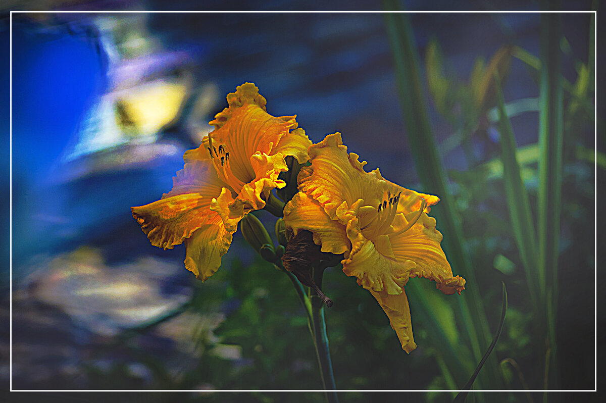 Летняя зарисовка - Владимир Кроливец