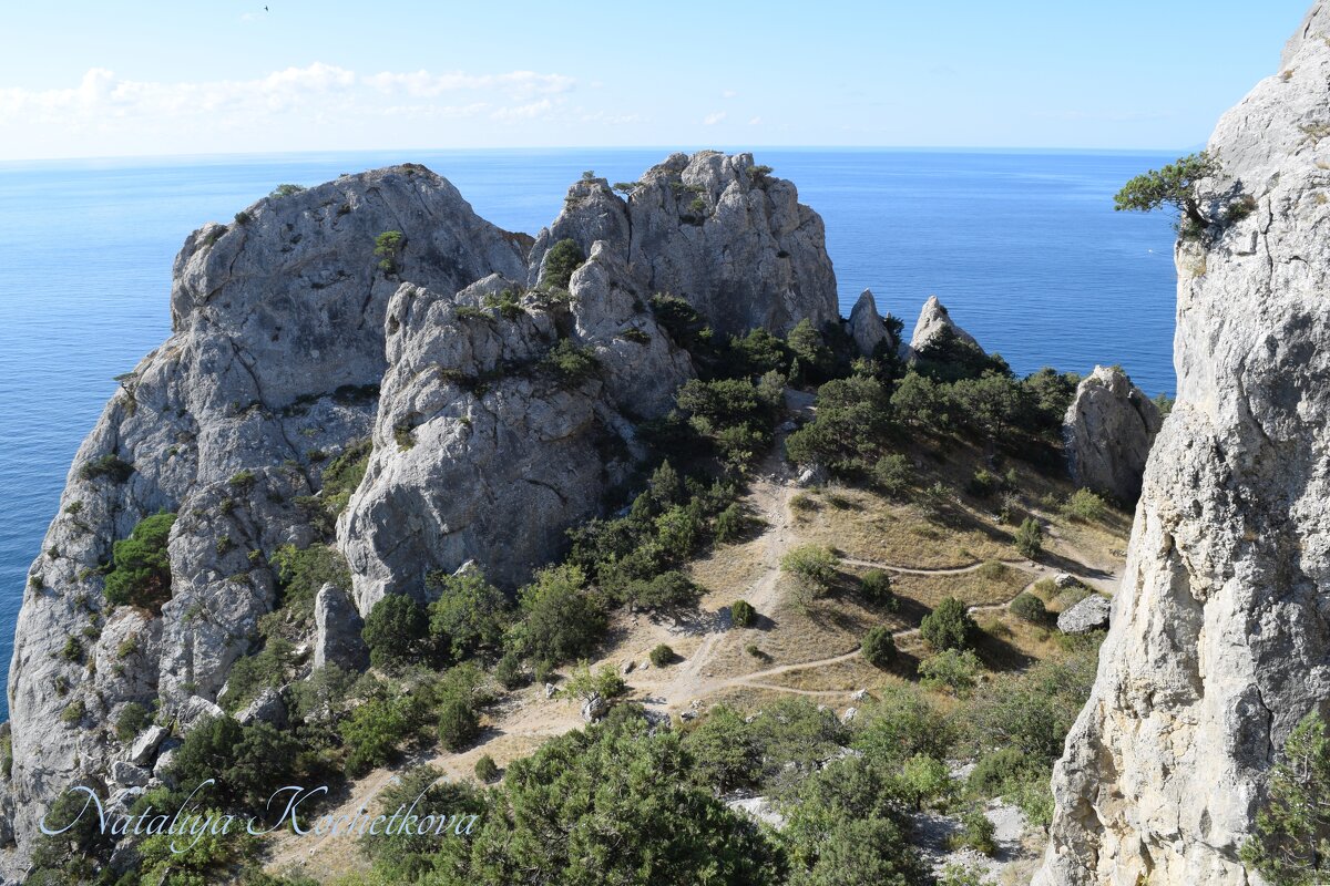 Природа Крыма - Amazing Cosmea